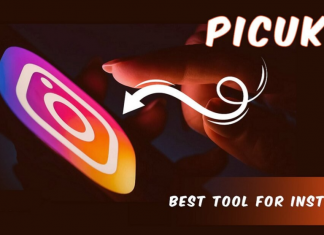 5 Top Rated Picuki Instagram Search Alternatives of 2022