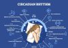 How To Reset Your Sleep Schedule